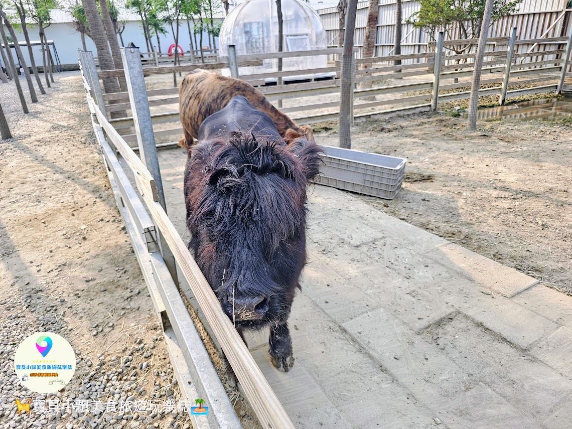 新竹香山廢物媽媽育兒農場親子互動樂園，寓教於樂的教育之旅！~