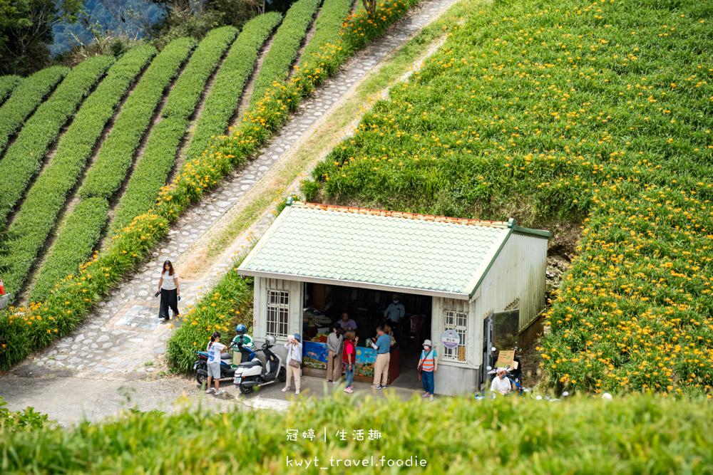 台東太麻里金針花季賞花攻略，搭乘太麻里賞花專車，悠遊太麻里金針花季賞花路線，每年暑假限定的太麻里旅遊景點 – 冠婷生活趣
