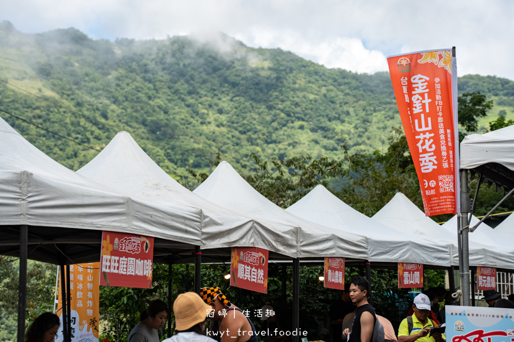 台東太麻里金針花季賞花攻略，搭乘太麻里賞花專車，悠遊太麻里金針花季賞花路線，每年暑假限定的太麻里旅遊景點 – 冠婷生活趣