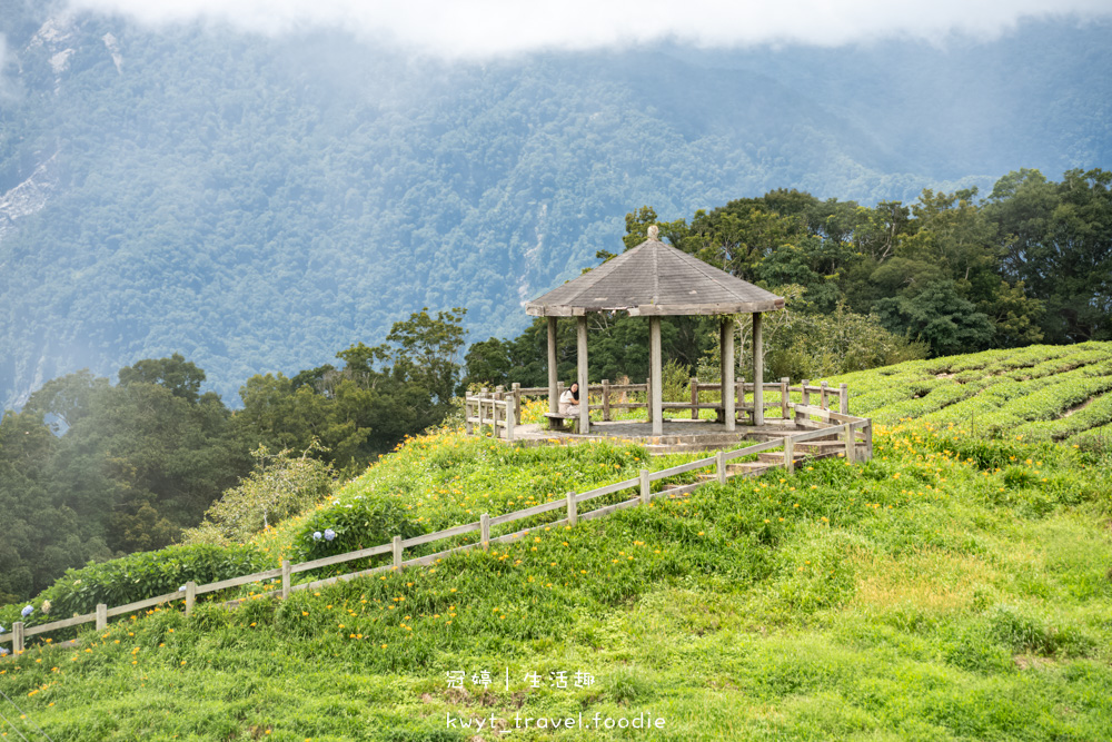 台東太麻里金針花季賞花攻略，搭乘太麻里賞花專車，悠遊太麻里金針花季賞花路線，每年暑假限定的太麻里旅遊景點 – 冠婷生活趣