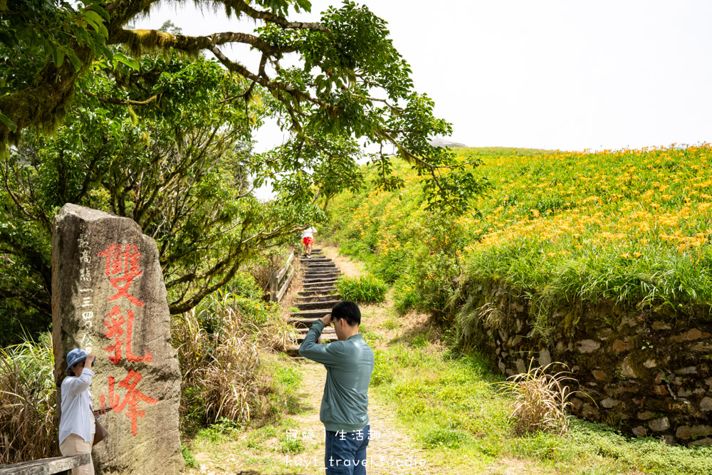 台東太麻里金針花季賞花攻略，搭乘太麻里賞花專車，悠遊太麻里金針花季賞花路線，每年暑假限定的太麻里旅遊景點 – 冠婷生活趣