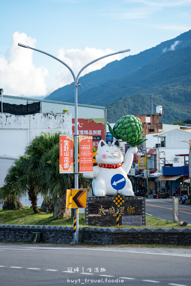 台東太麻里金針花季賞花攻略，搭乘太麻里賞花專車，悠遊太麻里金針花季賞花路線，每年暑假限定的太麻里旅遊景點 – 冠婷生活趣