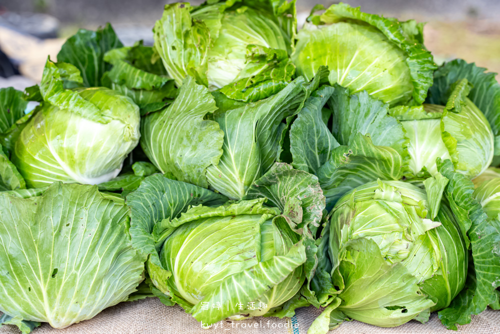 台東太麻里金針花季賞花攻略，搭乘太麻里賞花專車，悠遊太麻里金針花季賞花路線，每年暑假限定的太麻里旅遊景點 – 冠婷生活趣