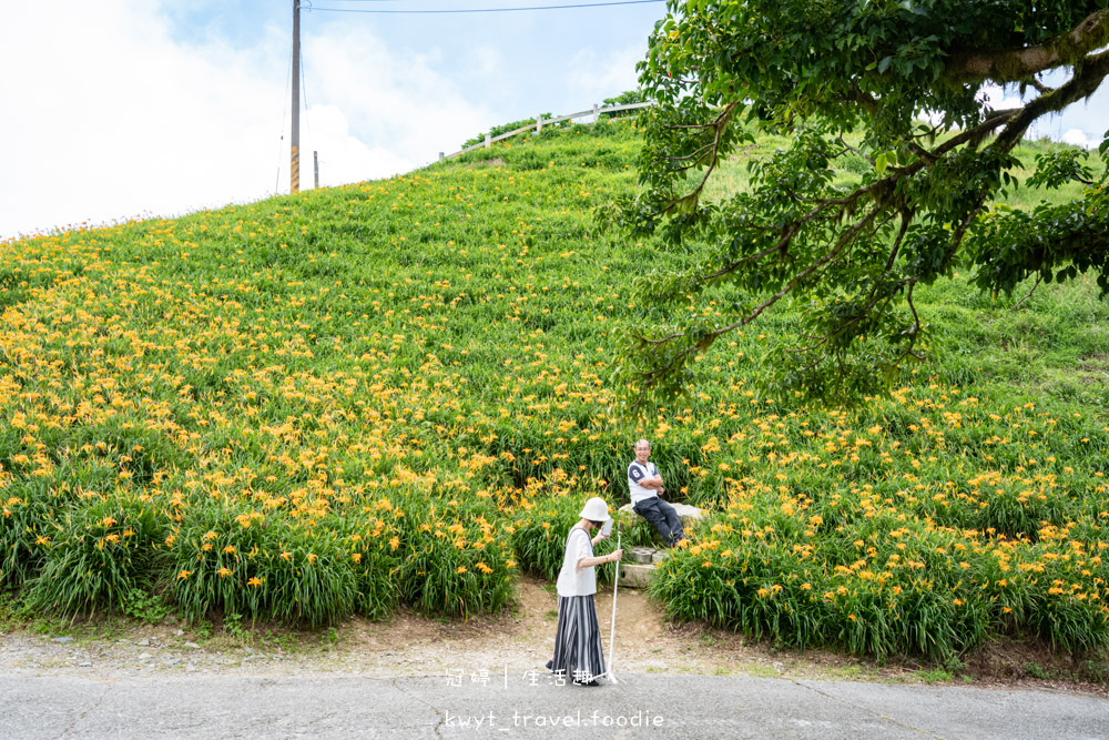 台東太麻里金針花季賞花攻略，搭乘太麻里賞花專車，悠遊太麻里金針花季賞花路線，每年暑假限定的太麻里旅遊景點 – 冠婷生活趣