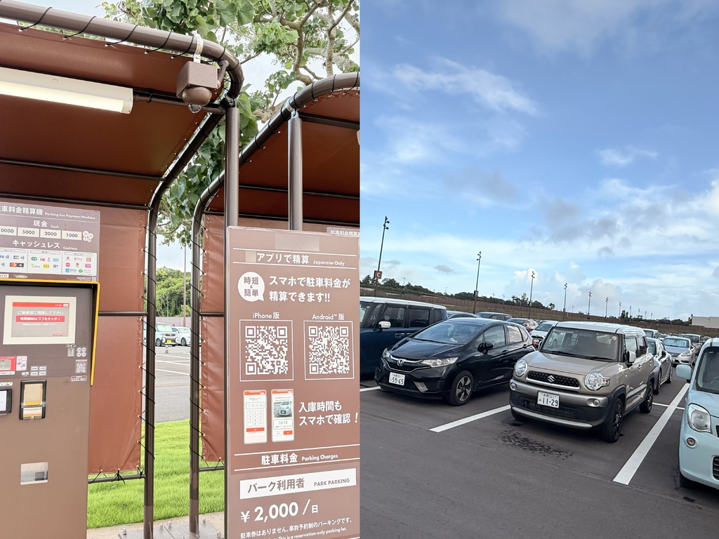 2025JUNGLIA 沖繩沉浸式叢林樂園開箱｜7月25日開