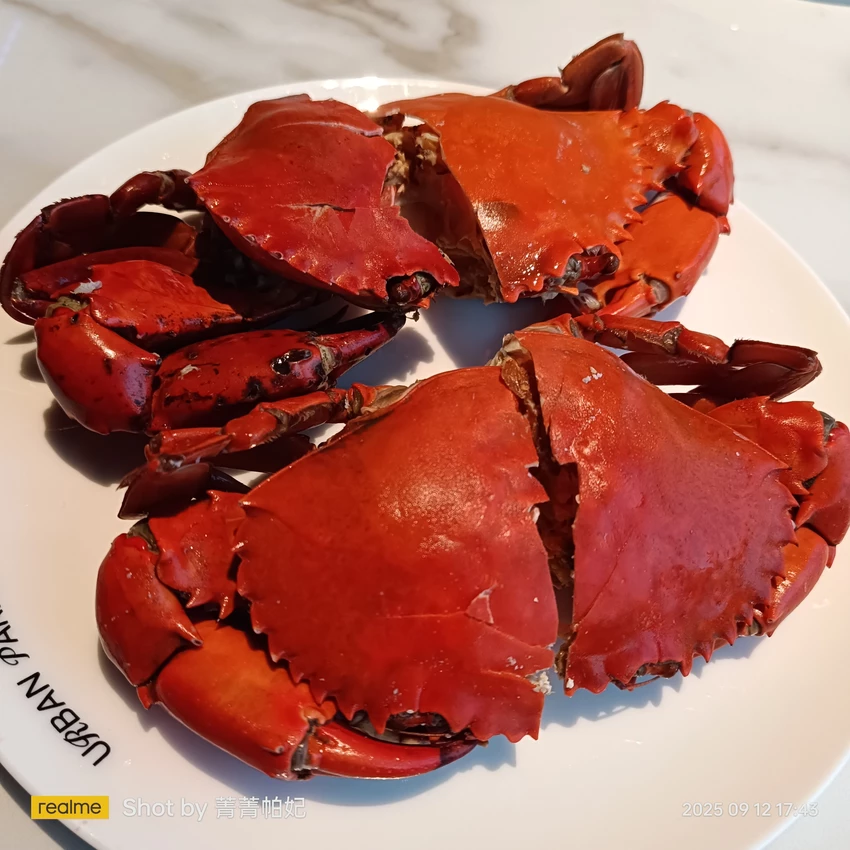 台北市信義區20250912 Urban Paradise，4訪，平日晚餐，酒鬼的天堂