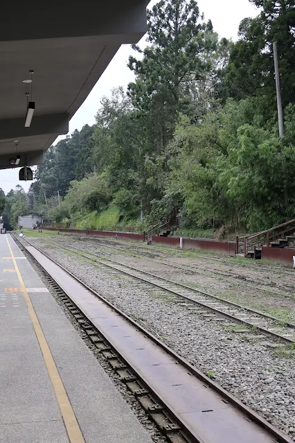 奮起湖老街 (阿里山國家風景區) - 奮起湖車站