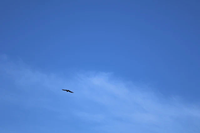 東北角暨宜蘭海岸國家風景區 - 深澳漁港 - 老鷹 東北角暨宜蘭海岸國家風景區 - 深澳漁港 - 老鷹