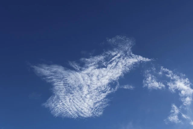 東北角暨宜蘭海岸國家風景區 - 水湳洞停車場 東北角暨宜蘭海岸國家風景區 - 水湳洞停車場