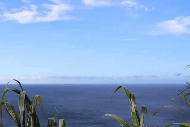 東北角暨宜蘭海岸國家風景區 - 水湳洞選煉廠遺址 東北角暨宜蘭海岸國家風景區 - 水湳洞選煉廠遺址