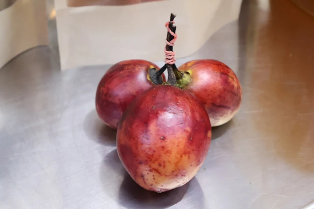 奮起湖老街 (阿里山國家風景區) - 樹番茄