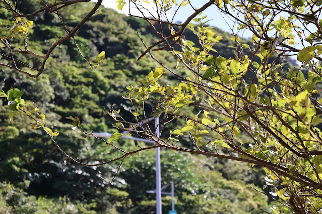 東北角暨宜蘭海岸國家風景區 - 黃金瀑布 東北角暨宜蘭海岸國家風景區 - 黃金瀑布