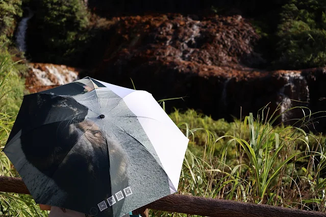 東北角暨宜蘭海岸國家風景區 - 黃金瀑布 東北角暨宜蘭海岸國家風景區 - 黃金瀑布
