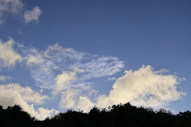 東北角暨宜蘭海岸國家風景區 - 鼻頭角步道 東北角暨宜蘭海岸國家風景區 - 鼻頭角步道