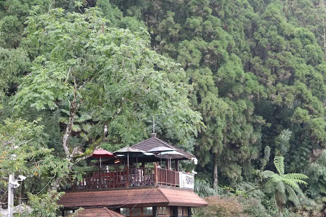 奮起湖老街 (阿里山國家風景區)