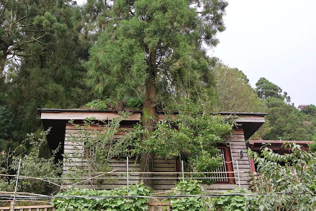 奮起湖老街 (阿里山國家風景區)