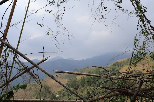 阿里山國家風景區 - 保安宮