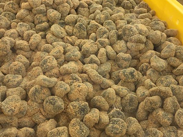 花蓮_小資女兩天一夜自助行(太魯閣砂卡噹、七星潭)