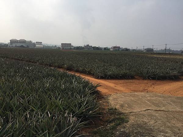 20201127-嘉義day02_201205_15