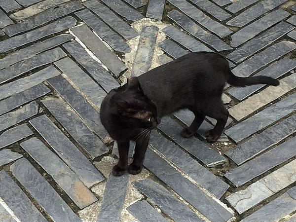 LINE_ALBUM_20211019Day03_211020_49 LINE_ALBUM_20211019Day03_211020_49