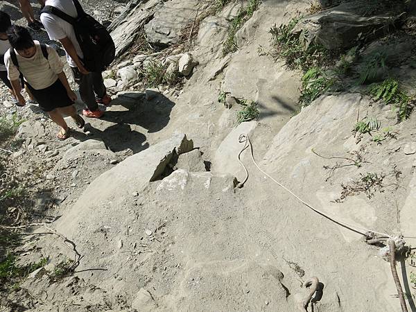 花蓮_小資女兩天一夜自助行(松園別館、翡翠谷、鯉魚潭、東大門自強夜市)