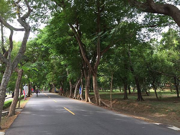 台中一日輕旅行_秋紅谷、東海大學、彩虹村、台中國家歌劇院、逢甲夜市