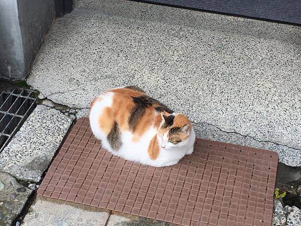 LINE_ALBUM_20211019Day03_211020_94 LINE_ALBUM_20211019Day03_211020_94