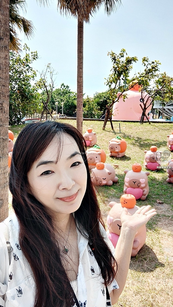 卡比胖拉出沒安平漁人碼頭!巨型水豚裝置 燈光秀超好拍,必訪台南景點攻略。