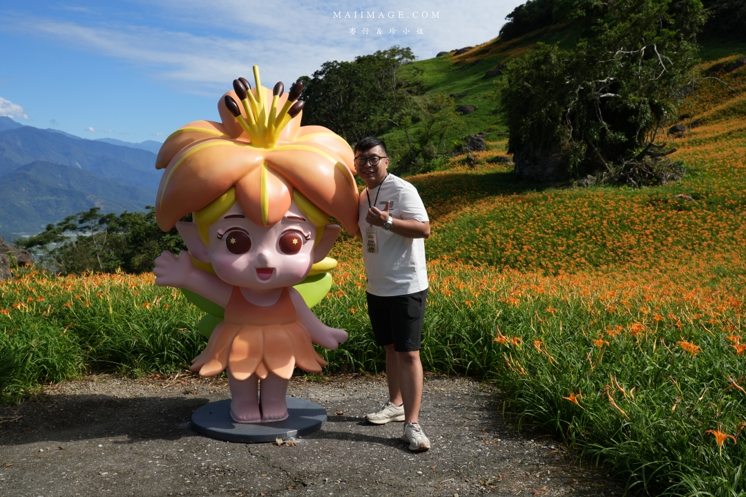 2025花蓮富里金針花季攻略!六十石山金針花海必訪,金針花體驗活動全攻略。