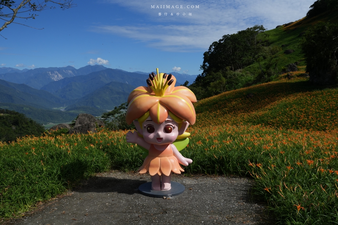 2025花蓮富里金針花季攻略!六十石山金針花海必訪,金針花體驗活動全攻略。