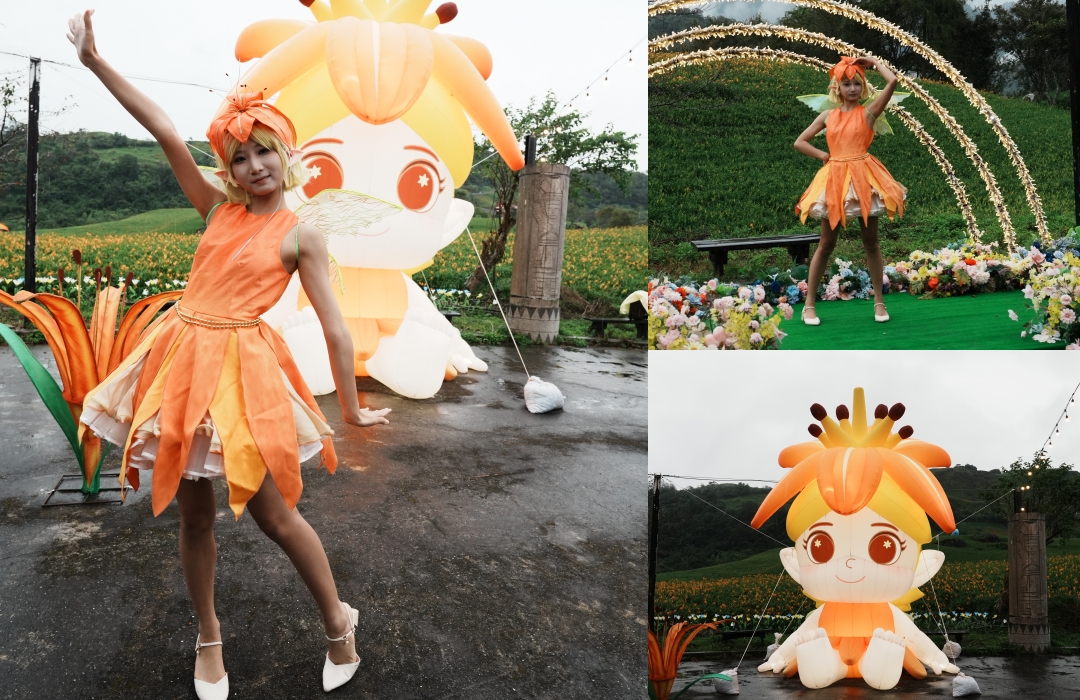 2025花蓮富里金針花季攻略!六十石山金針花海必訪,金針花體驗活動全攻略。