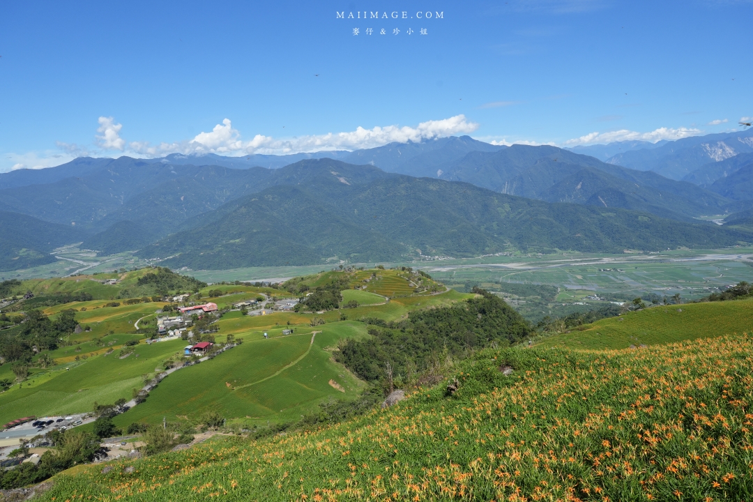 2025花蓮富里金針花季攻略!六十石山金針花海必訪,金針花體驗活動全攻略。