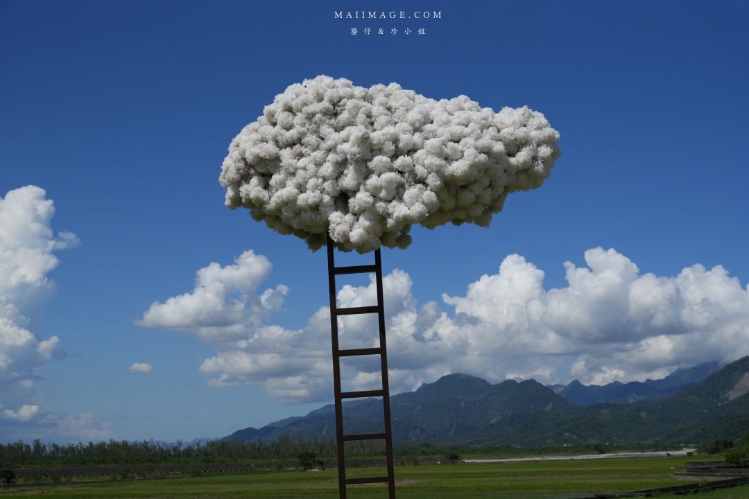 2025花蓮富里金針花季攻略!六十石山金針花海必訪,金針花體驗活動全攻略。