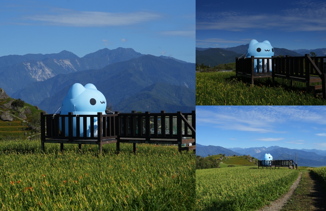 2025花蓮富里金針花季攻略!六十石山金針花海必訪,金針花體驗活動全攻略。