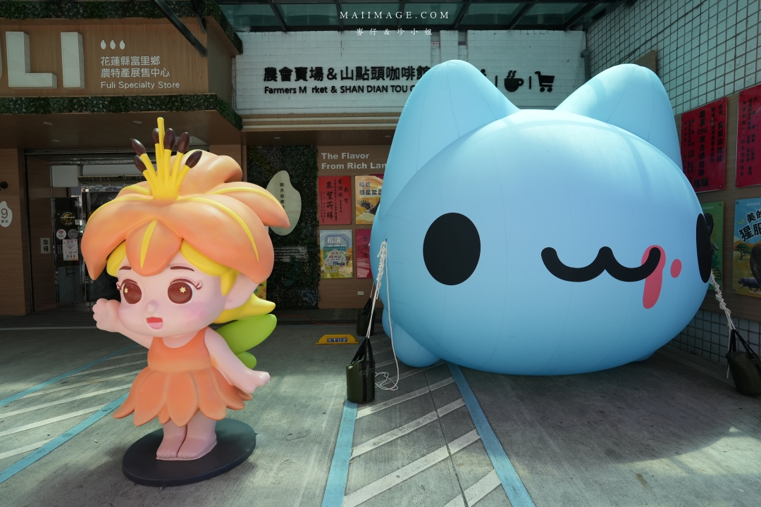 2025花蓮富里金針花季攻略!六十石山金針花海必訪,金針花體驗活動全攻略。