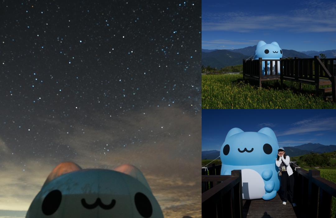 2025花蓮富里金針花季攻略!六十石山金針花海必訪,金針花體驗活動全攻略。