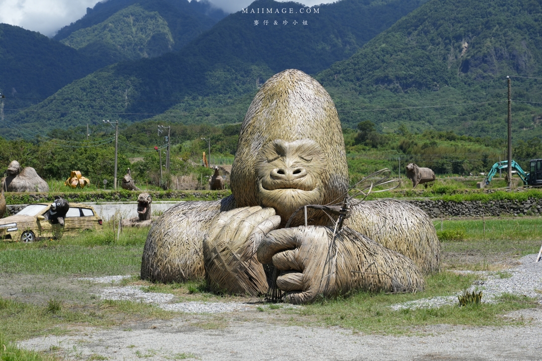 2025花蓮富里金針花季攻略!六十石山金針花海必訪,金針花體驗活動全攻略。