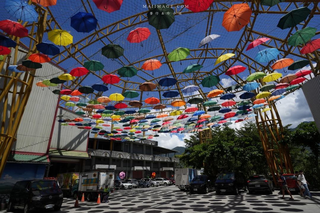 2025花蓮富里金針花季攻略!六十石山金針花海必訪,金針花體驗活動全攻略。