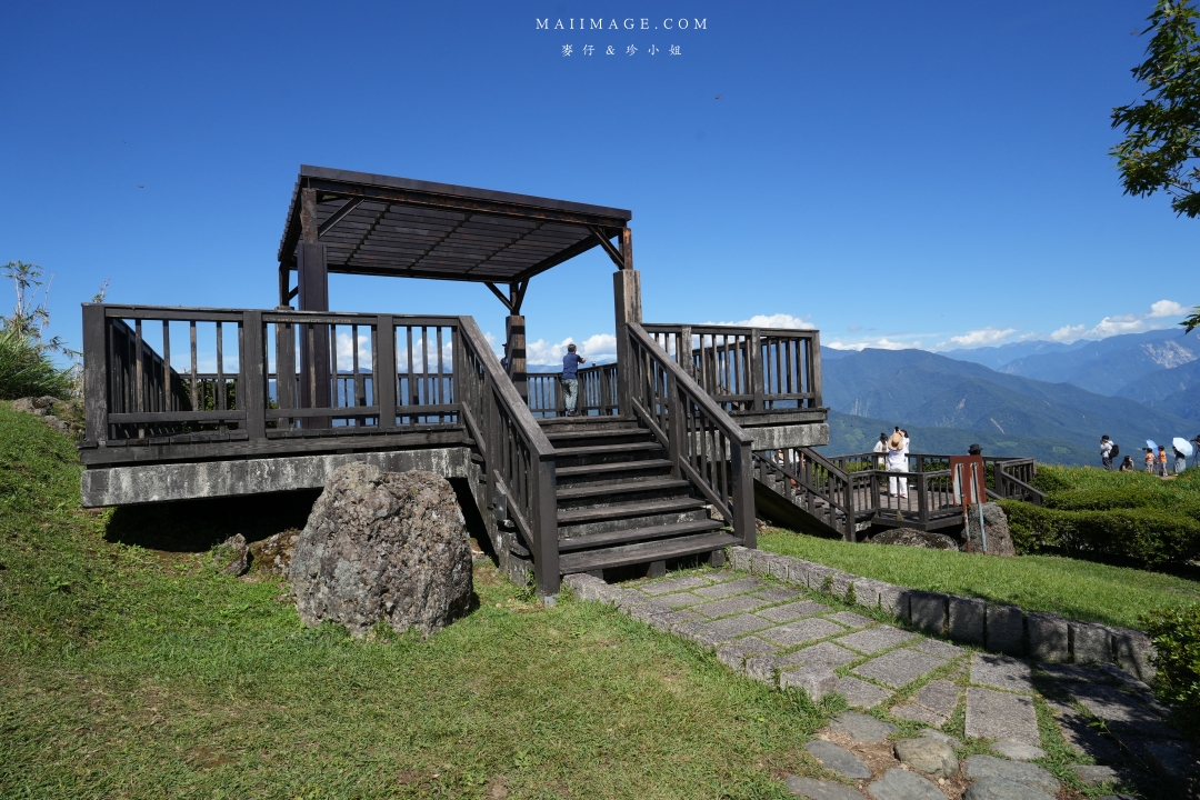 2025花蓮富里金針花季攻略!六十石山金針花海必訪,金針花體驗活動全攻略。