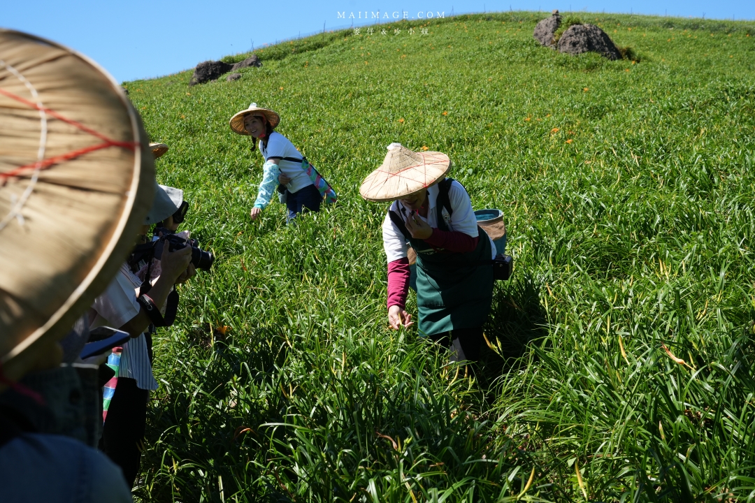 2025花蓮富里金針花季攻略!六十石山金針花海必訪,金針花體驗活動全攻略。