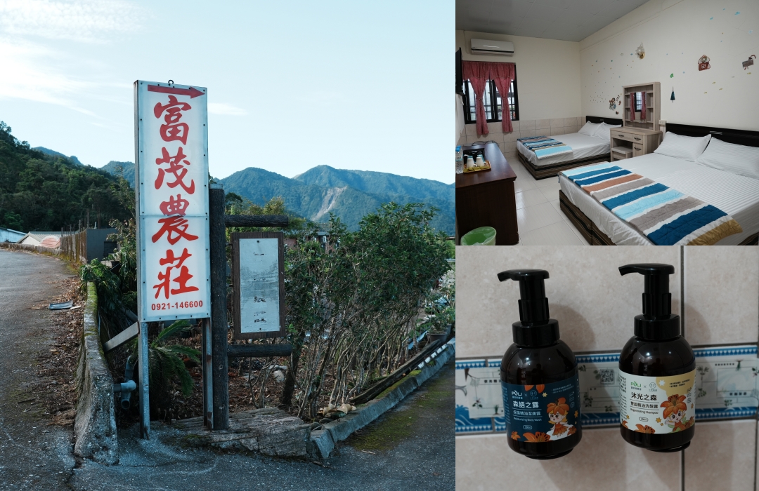 2025花蓮富里金針花季攻略!六十石山金針花海必訪,金針花體驗活動全攻略。