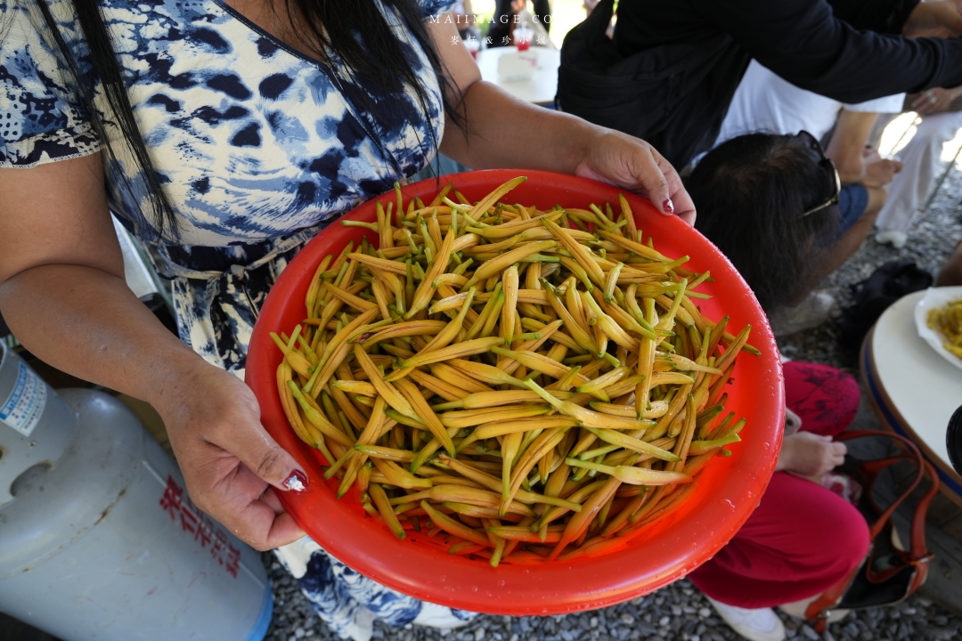 2025花蓮富里金針花季攻略!六十石山金針花海必訪,金針花體驗活動全攻略。