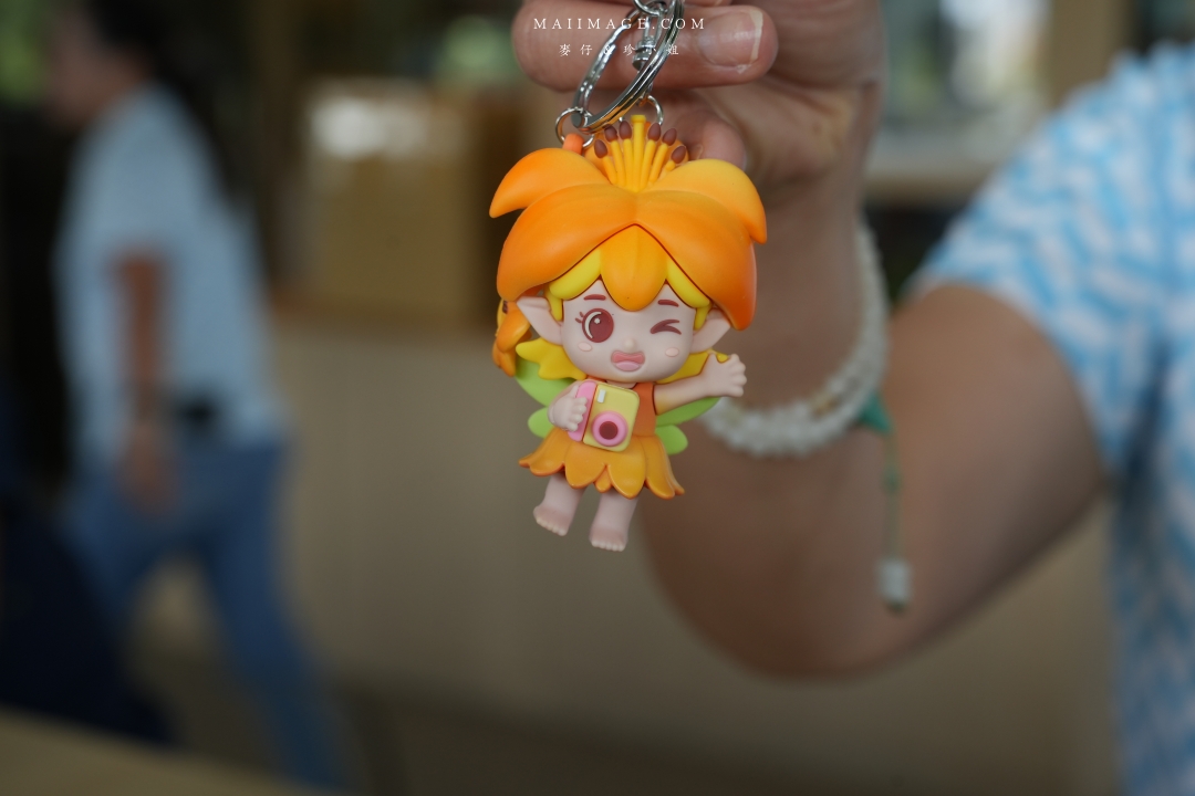 2025花蓮富里金針花季攻略!六十石山金針花海必訪,金針花體驗活動全攻略。