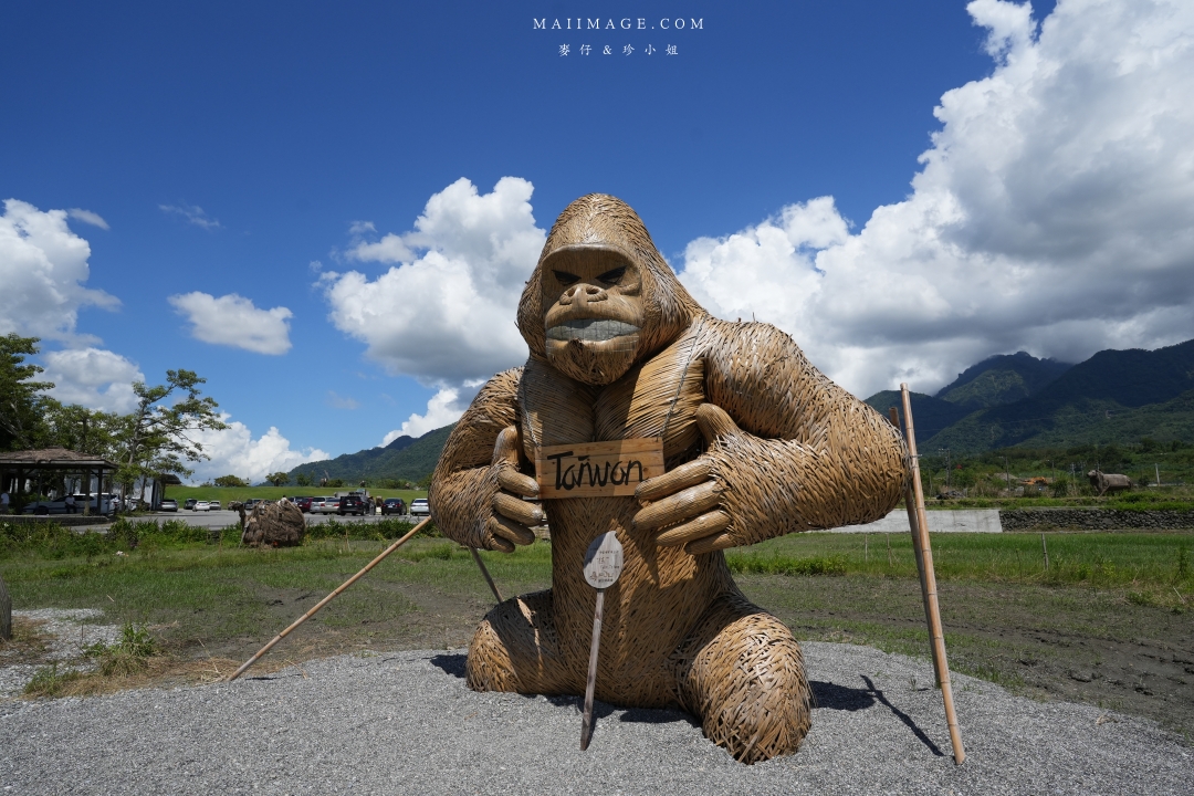 2025花蓮富里金針花季攻略!六十石山金針花海必訪,金針花體驗活動全攻略。