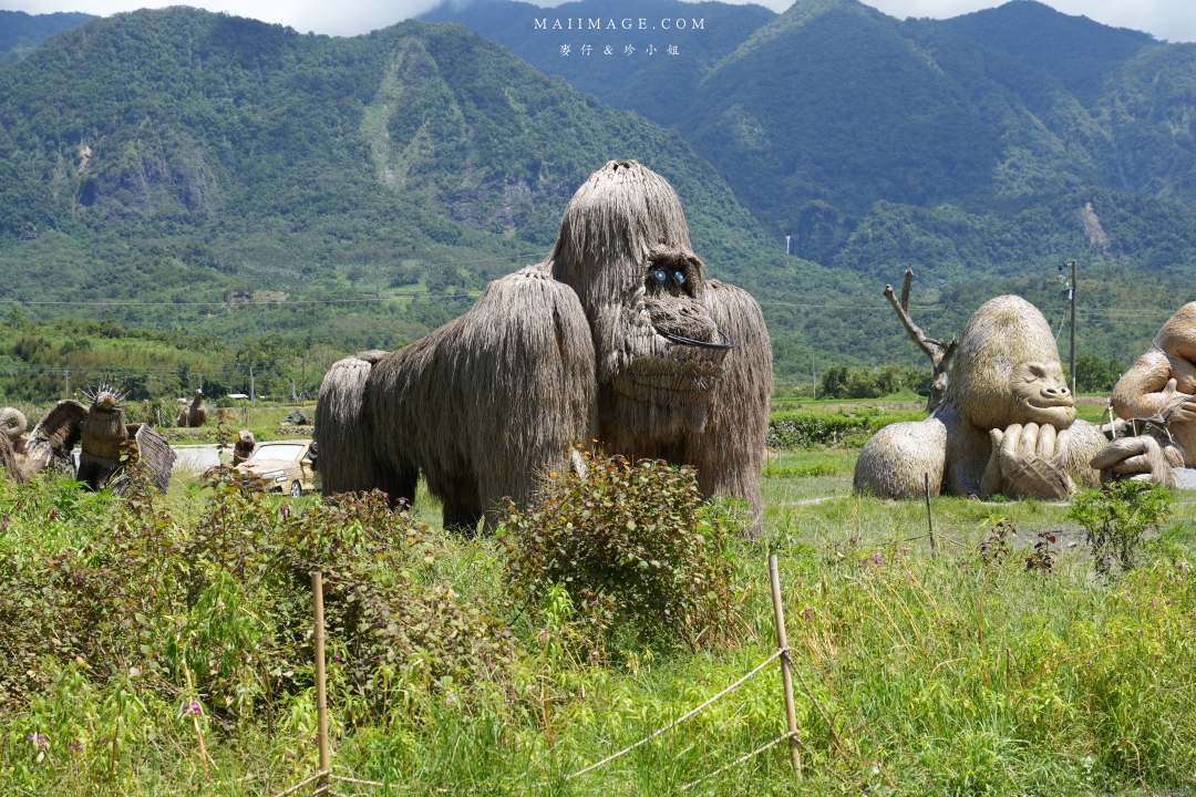 2025花蓮富里金針花季攻略!六十石山金針花海必訪,金針花體驗活動全攻略。
