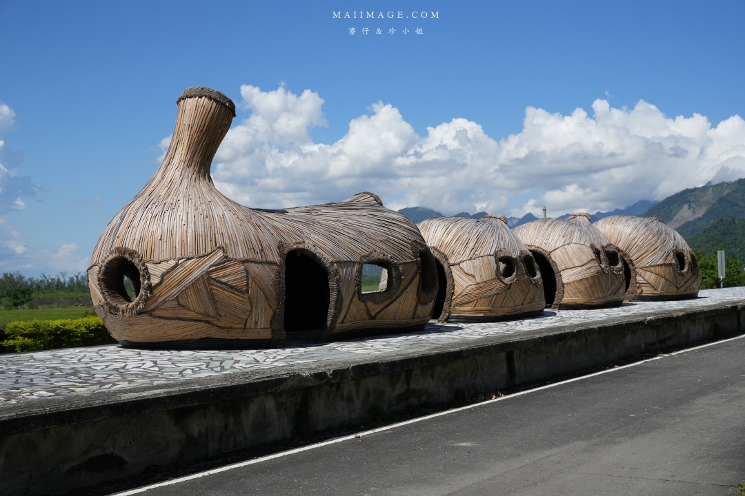 2025花蓮富里金針花季攻略!六十石山金針花海必訪,金針花體驗活動全攻略。