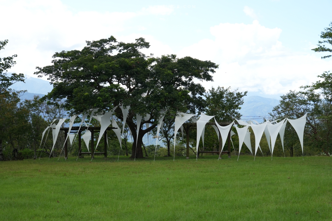 2025花蓮富里金針花季攻略!六十石山金針花海必訪,金針花體驗活動全攻略。