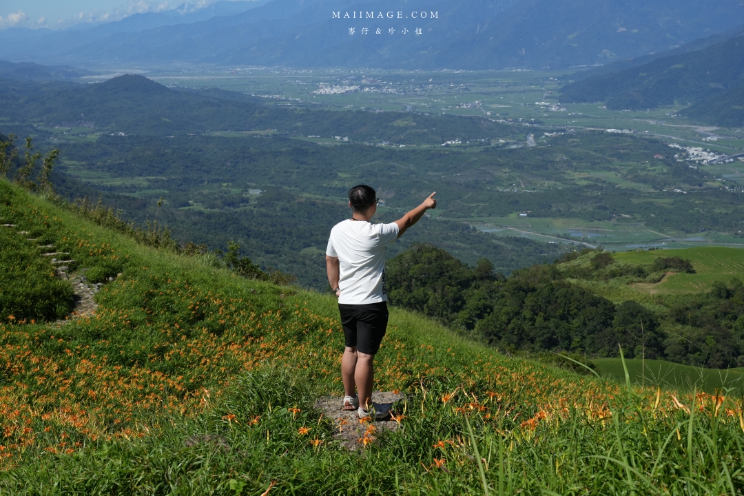 2025花蓮富里金針花季攻略!六十石山金針花海必訪,金針花體驗活動全攻略。