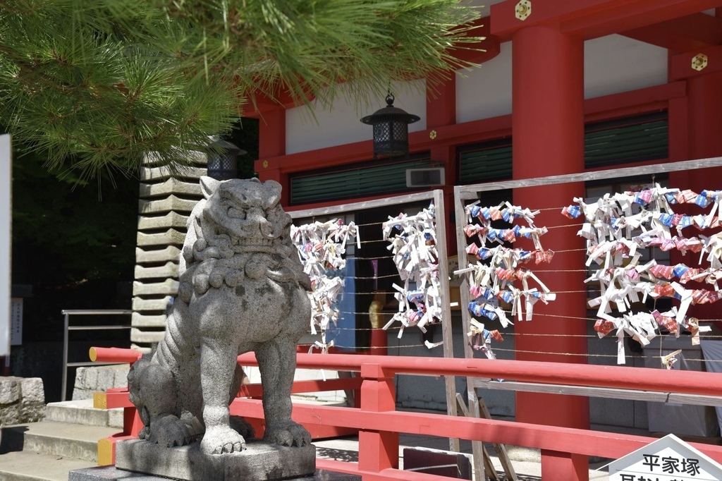 日本旅遊包車首選|BBC青鳥日本包車 專業中日文雙語司機 價