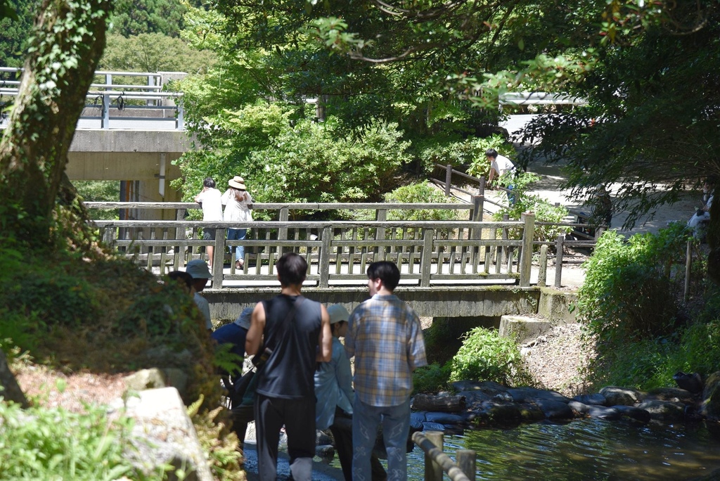 日本旅遊包車首選|BBC青鳥日本包車 專業中日文雙語司機 價